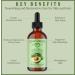 Natural Born Oils Avocado Oil 1 Gallon Organic Cold-Pressed Vitamins & Minerals Deep Skin Conditioning Hair Revitalization 128 Fl Oz (Pack of 1) - Buy Online on GoSupps.com