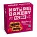 Nature's Bakery, Whole Wheat Fig Bars, Raspberry, Real Fruit, Vegan, Non-GMO, Snack bar, 1 box with 6 twin packs (6 twin packs)