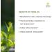 Kerala Ayurveda Tejas Oil - Cooling Herbal Massage Body Oil | Nourishing & Hydrating | Mind Calming | 6.8 Fl Oz | Balance Pitta Dosha - Buy Online on GoSupps.com