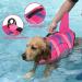 Doglay Shark Mermaid Dog Life Jacket for Small to Large Dogs | Adjustable Pet Life Vest with Rescue Handle | Strong Buoyancy for Swimming - X-Large - Pink - Buy Online on GoSupps.com