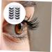 Beavorty 5 Pairs Fake eyelashes false eyelashes soft light fake lash artificial eyelashes black accent decor hand decor 3D black trim Natural Eyelashes dense Miss Adhesive Imitation - Buy Online on GoSupps.com