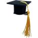 Neamou Graduation Hat Headband - 3D Doctoral Hat Hair Clip Headband Graduation Hat Inserts Graduation Dress up Photo Decoration Supplies for Women Men Yellow - Buy Online on GoSupps.com
