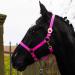 Halter for horse warmblood thoroughbred cold blood - stable halter pasture 2 compartment adjustable on chin straps and neck pieces safe & tearproof (pink warm blood (full)) pink warm blood (full)