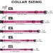 Personalized Dog Collar for Small Dogs Embroidered Reflective Nylon Pet Name & Phone Number Hot Pink XS Tagme (1 Pack) - Buy Online on GoSupps.com