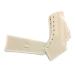 Medium White OTC Ankle Splint with Canvas Lace-Up Design and Rigid Metal Stays - Buy Online on GoSupps.com