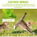 Herbal Cat Joy Spray Herbal Cats Catnip Spray for Cats Scratching Spray Mist Herbal Cats Spray Transparent Cats Behaviour Spray Space for Your Cats 100ML (1PC) - Buy Online on GoSupps.com