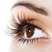 Self Adhesive False Eyelashes - Reusable & Natural | No Glue Eyeliner Needed - 1 Pair of Fake Eyelashes for Effortless Glam - Buy Online on GoSupps.com