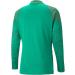 PUMA Men's Teamcup Training Jacket Cardigan - M Pepper Green | International Shipping Available - Buy Online on GoSupps.com