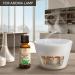 Buy Pure Japanese Mint Oil 30ml - Natural Mentha Arvensis for Aromatherapy | Fragrance Lamp & Diffuser | Best for Beauty & Wellness - Buy Online on GoSupps.com