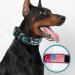 Buy Tspro Premium Camo Dog Collar - Adjustable Thick with Quick Fastener for Small Medium & Large Dogs - Camo Cyan-M Patch (Size M: 32.5cm-45cm) - International Shipping Available - Buy Online on GoSupps.com