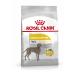 Royal Canin Canine Maxi Adult Dermacomfort Dry Dog Food - 10kg