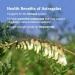 Oregon's Wild Harvest Astragalus - 90 Gelatin Capsules | Immune Support & Herbal Wellness - Buy Online on GoSupps.com