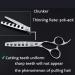 Dream Reach Professional 6 Hair Cutting Scissors - Japanese 440C Steel - Thinning Shear for Salon/Barber/Home Use - Chunker 02 - Buy Online on GoSupps.com