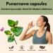Morsan Healthcare Punarnava Capsules (Boerhaavia Diffusa) 500mg 60 Veg Capsules | Herbal Wellness Supplement for Natural Kidney & Liver Support | Plant-Based Detox & Cleansing Formula | Pack of 2 - Buy Online on GoSupps.com