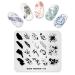 Alexnailart Nail Art Stamping Plate Stamping Template Feathers Fashion Design Template Image Plate Nail Art Tools (FA015)