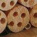 Wildlife Republic Insect Log Cabin Bee and Bug Home Insect Hotel - Buy Online on GoSupps.com