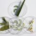 Natural Conditioner for Thinning Hair & Hair Loss | Saw Palmetto Hops Sage & More - Buy Online on GoSupps.com