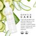 Flori Roberts Ultimate C Cleanser Creamy Face Wash with Vitamin C for Women of Color or Deeper Skin Tones Moisturizing and Smoothing - Buy Online on GoSupps.com
