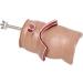 Anatomy Model: Human Rectal Lesion Fistula & Fissure Pathology - Ideal for Teaching | International Shipping - Buy Online on GoSupps.com