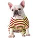 BT BEAR Colorful Striped Pajamas for Dogs - Soft Cotton One-Piece Costume for Small & Medium Bulldogs - Size M Green/Purple - Buy Online on GoSupps.com