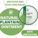 BenePura Plantain Ointment - Natural Anti Itch Cream for Bug Bite Relief - 1.35 fl. Oz - Buy Online on GoSupps.com