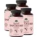 Premium Shatavar 240 Capsules (60 * 4) (Pack of 4) 500 MG Each with Extract | Women Wellness Capsules | Hormonal Balance | Good for PCOD/PCOS | Restore Stamina and Energy - Buy Online on GoSupps.com
