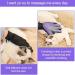Cat Gloves & Brushes for Feline Care | Silicone Washing Glove for Cats & Dogs - Purple & Violet - Buy Online on GoSupps.com