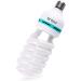 SLOW DOLPHIN Photography Bulbs CFL Full Spectrum Light Bulb 105W 5500K Daylight (2-Pack) | Studio Lighting for Photo and Video - 2 Count - Buy Online on GoSupps.com