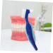 GARVALON 4-Piece Travel Toothbrush Set for Prostheses & Retainers - Ultimate Cleaning Tools - Buy Online on GoSupps.com