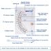 Capetsma Salinity Tester: Accurate Hydrometer for Aquariums - Marine & Freshwater, Saltwater Specific Gravity Test - Buy Online on GoSupps.com