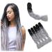 Showjarlly jumbo braid art hair hair ombre braid extension 24 inch KanCalon hair braid extensions 5 pieces for crochet twist lichen hair box braid for braid black silver# 61cm-24zoll (5 Pack) B37#