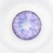 Buy Madrid Violet Colored Contact Lenses | Monthly Soft Hydrogel 2pcs + Lens Container | Natural Colors Series - 0.0 Diopters - Buy Online on GoSupps.com
