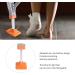 GHFTCCF Walking Crutches Hands Free Crutch Painless Knee Brace Crutch with Spring Button Antiskid Protection Knee Support for Joint Fracture Lightweight Walking Aid - Buy Online on GoSupps.com