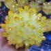 1pcs300-700gNatural Crystal Cluster Electroplated Yellow Crystal Cluster Reiki Stone Crystal Tip House Decorative NaturalCrystal QINTINYIN Home Goods (Size : 300-400g) - Buy Online on GoSupps.com