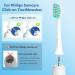 8 Pack Soft Replacement Toothbrush Heads | Compatible with Philips Sonicare | Click-on Design | High-Quality Brush Heads - Buy Online on GoSupps.com