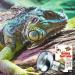 Zoo Med SL2-60 Repti Basking Spot 60 Watt - Buy Online on GoSupps.com