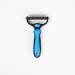 GL CKPET Dog Brush - Undercoat Remover & De-Matting Curry Comb - CE Certified - Blue - Buy Online on GoSupps.com