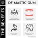 ROCKJAW Premium Mastic Gum - Mastic Minis - Natural - 100% Natural Chewing Gum Mastic Gum Chewing Gum Aspartame-Free Sweetener-Free - 20g 20 count (Pack of 1) - Buy Online on GoSupps.com