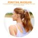 4Pcs Ponytail Hair Rings - Stylish Cuff Covers for Women & Girls | International Shipping Available - Buy Online on GoSupps.com