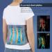 Buy Lumbar Support Belts for Herniated Disc & Muscle Strain - Orthopedic Back Support for Pain Relief | Men & Women s Waist Protection - Buy Online on GoSupps.com