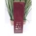 Avon Imari Eau de Toilette Spray 1.7 Fluid Ounce Vanilla 1.7 Fl Oz (Pack of 1) - Buy Online on GoSupps.com