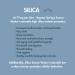 Aquene Springs Silica Source Water, Pure, Silica-Rich Geothermal Water for Daily Hydration, Naturally Filtered, Deuterium Depleted, pH 8., Promotes Cardiovascular Health, Pain Relief, and Anti-Aging Water 169.07 Fl Oz (Pack  - Buy Online on GoSupps.com