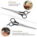 URAQT Hairdressing Scissors Kit Professional Hair Cutting and Comb Set Stainless Steel Thinning/Texturizing Scissors Barber Scissors for Salon/Home/Pet - Buy Online on GoSupps.com