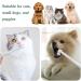 MIOYOOW 2-Pack Dog Toothbrush for Sensitive Teeth & Gums - Ultra-Soft Pet Bristles for Puppies Kittens & Small Breeds - International Shipping Available - Buy Online on GoSupps.com
