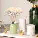 Rattan Fragrance Sticks - 8-Piece Aromatherapy Diffuser Set for Essential Oils | Room Fragrance with Natural Flowers & Wood - Buy Online on GoSupps.com