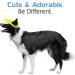 Pawaboo Dog Baseball Cap - Adjustable Sun Protection Hat for Dogs with Ear Holes - Large Yellow Cap for Pets - Buy Online on GoSupps.com