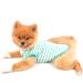 Paidful British Dog Shirt - Striped Cat Vest Soft Cotton T-Shirt for Boys Summer Puppy Clothing Breathable Tank Tops XL (Green) - Chihuahua & Yorkie Fashion - Buy Online on GoSupps.com