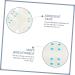 Healeved 400 Pcs Face Lifting Stickers Facial Lifting Tapes Tight Sticker Breathable Tape Adhesive - Buy Online on GoSupps.com