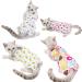 Kitipcoo Professional Surgery Recovery Suit for Cats - Breathable Abdominal Wound & Skin Disease Care - Small Size - 1 Pack - Buy Online on GoSupps.com