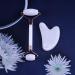 Premium Face Roller & Gua Sha Set | Natural Skincare Massager for Radiant Skin - Buy Online on GoSupps.com